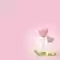 Flower Tulip Background