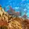 Upstream Mountain Appennino