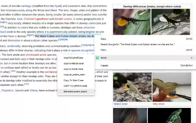 Anole from Chrome web store to be run with OffiDocs Chromium online Anole from Chrome web store to be run with OffiDocs Chromium online